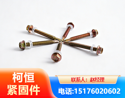 恩施六角钻尾丝